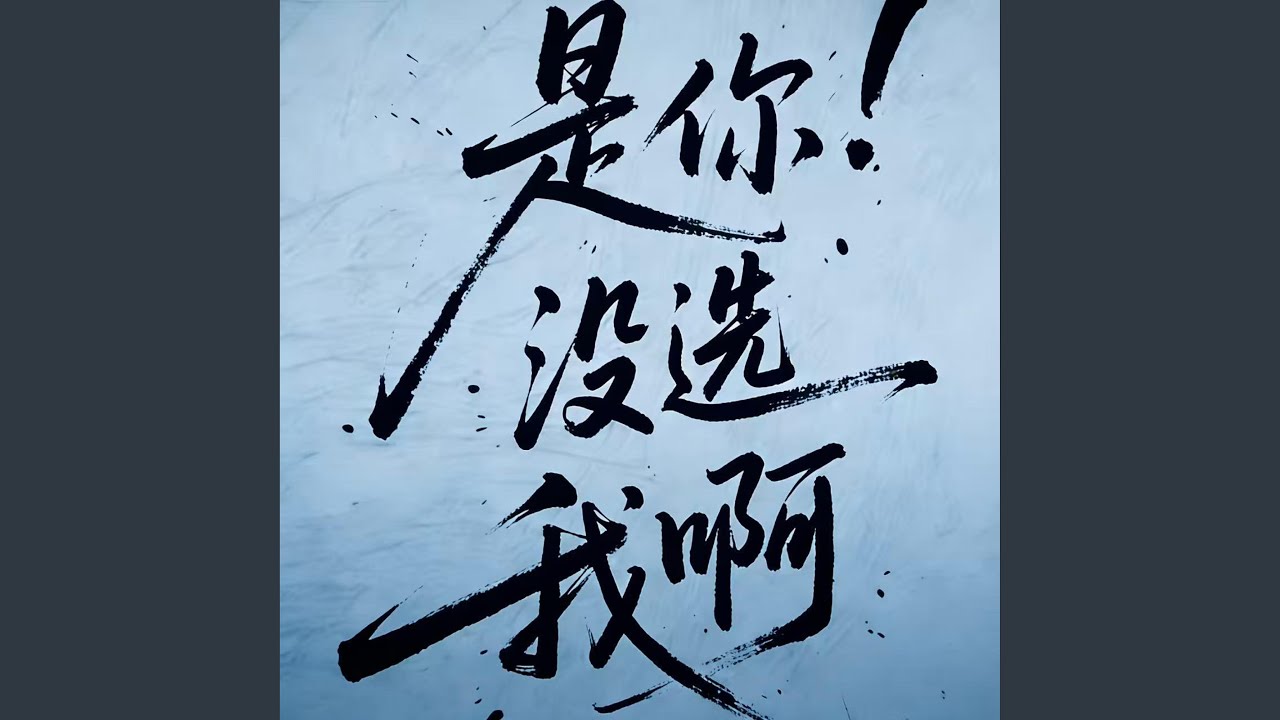 是你没选我啊 (撕裂版)
