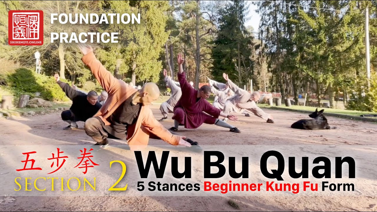 五步拳 · Wu Bu Quan (5 Stances Beginner Form / 2. Section)