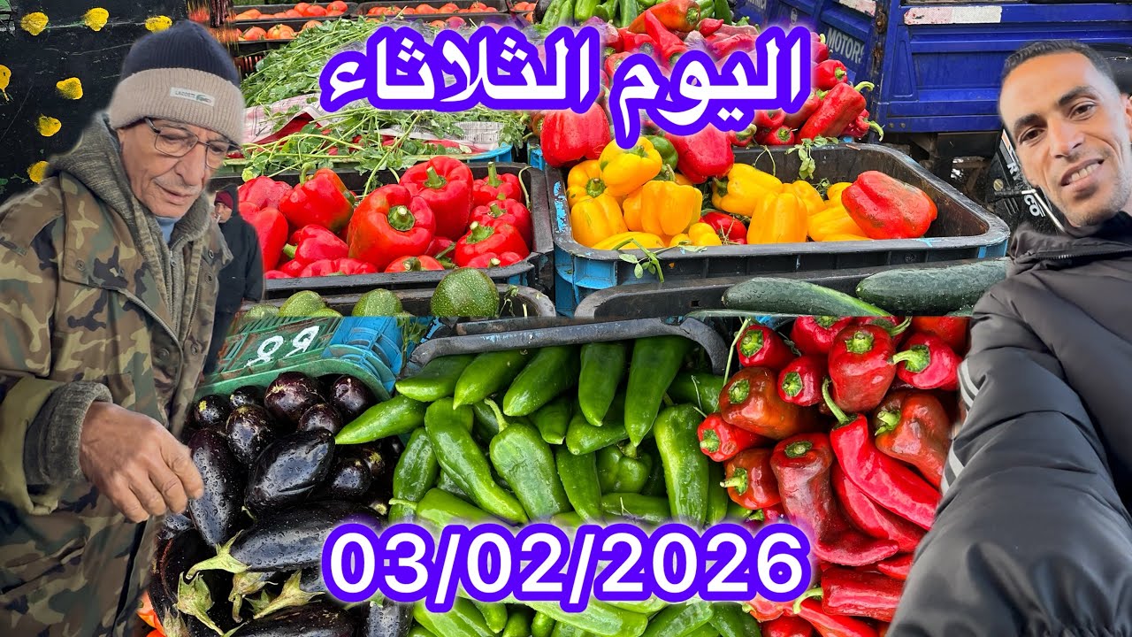 سوق الجملة بالخضر والفواكه – الدار البيضاء 🇲🇦 | أسعار اليوم 3 فبراير 2026 🥦🍅🍊