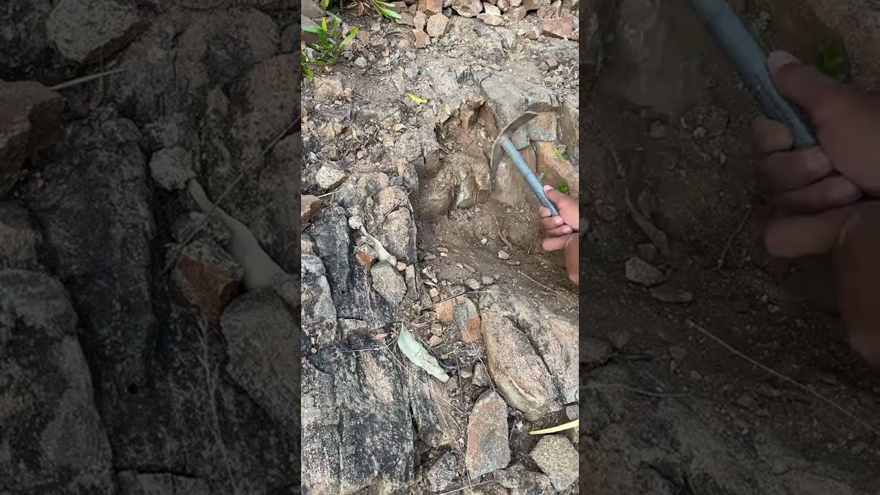 🔎 pata 1 Coin Strange Golden-Looking Coin Was Buried Underground! | Mountain Discovery