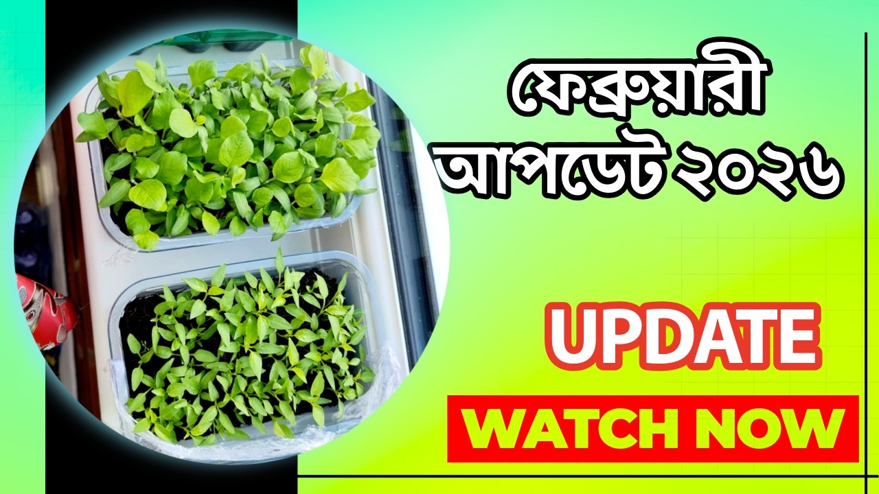 ফেব্রুয়ারীতে বাগানে বিস্ফোরণ! 😱 দেশি গাছের অবস্থা দেখে অবাক হবেন | Garden Update BD
