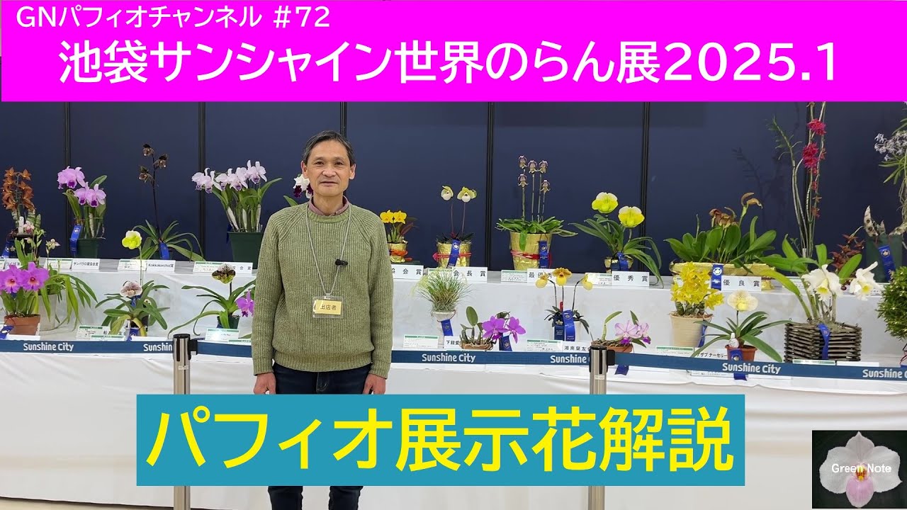#72 池袋サンシャイン世界のらん展2025.1 パフィオ展示花紹介