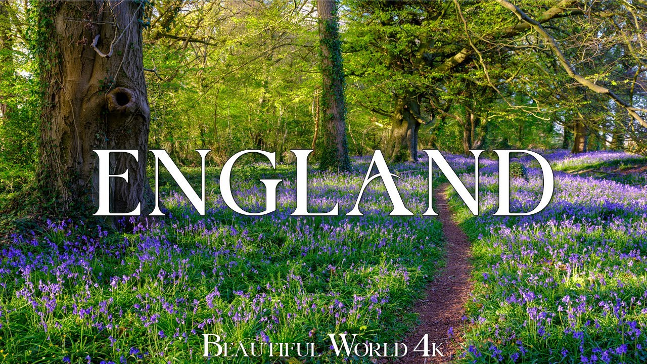England 4K - Explore Daffodil Fields, Enchanting Gardens and Rolling Hills - Peaceful Piano