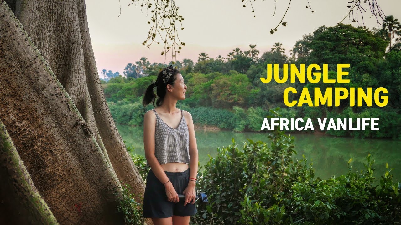 Surviving the Jungle, Camping with Baboons and Hippos - VANLIFE AFRICA