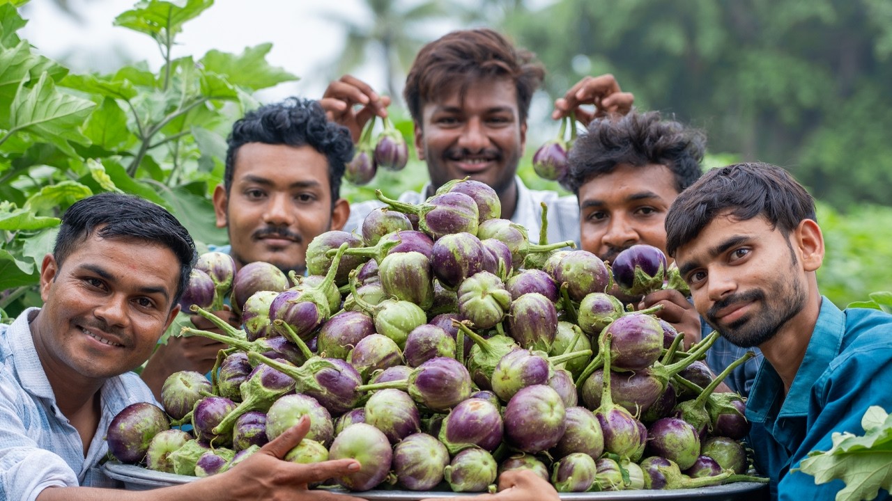 BHARWA BAINGAN | Akha Ringan Nu Shaak | Stuffed Masala Brinjal | Village Rasoi