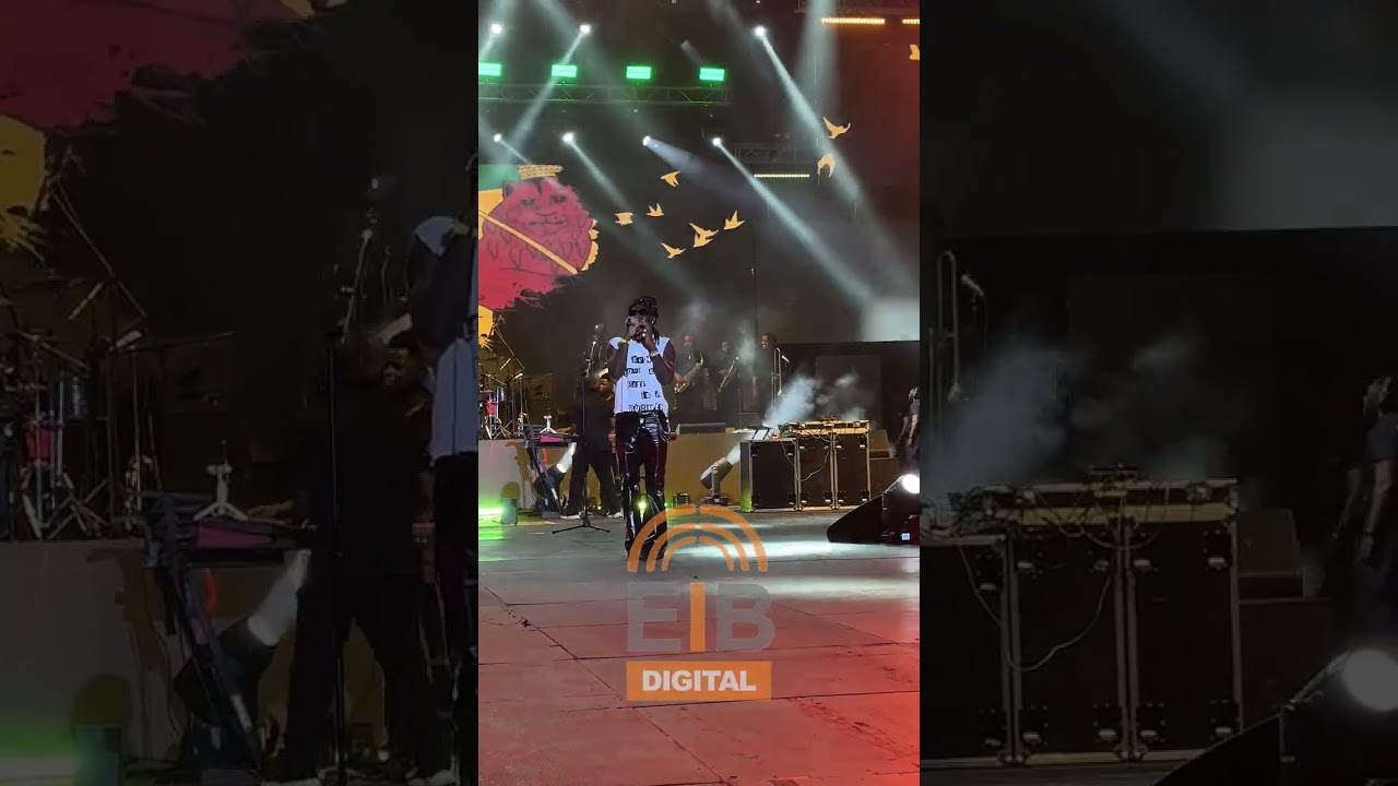 More Scenes From Stonebwoy's The Torcher Experience