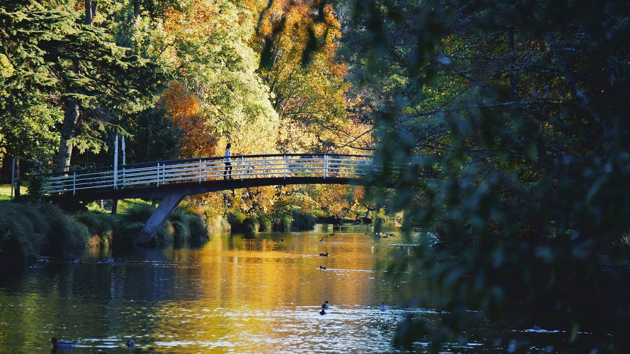 Autumn in Christchurch [4K]