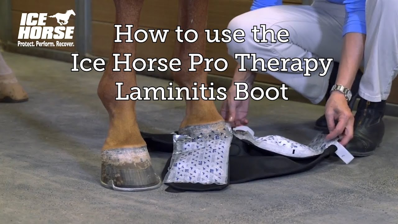 How to Use the Ice Horse Laminitis Boot | Tips from the CEO