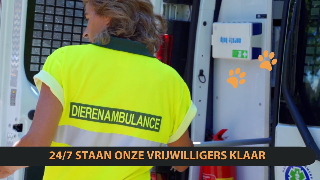 Wat doet de Dierenambulance - DierenZorg Eemland
