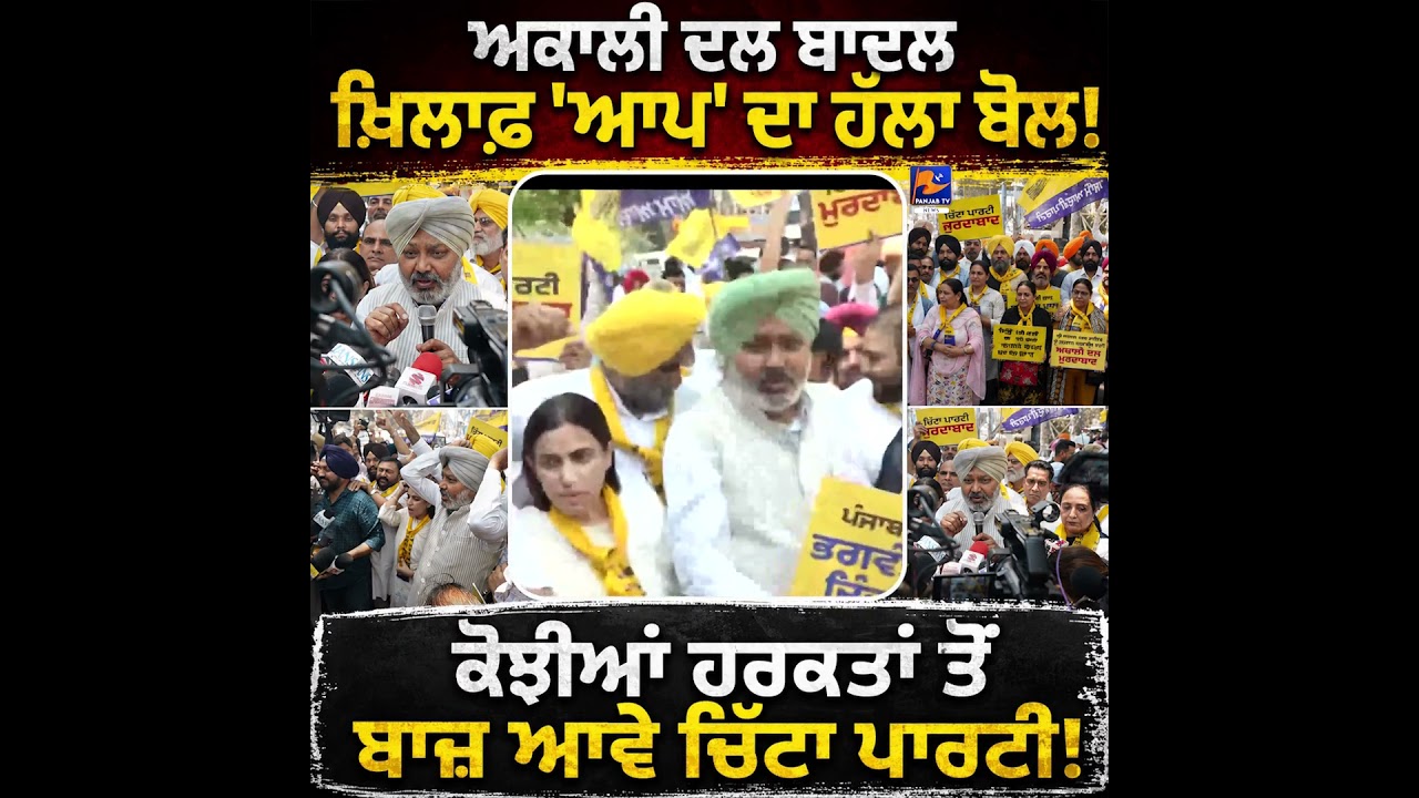 AAP Protests Against Akali Dal Badal, Says &ldquo;White Party Must Stop Its Shameful Politics&rdquo;