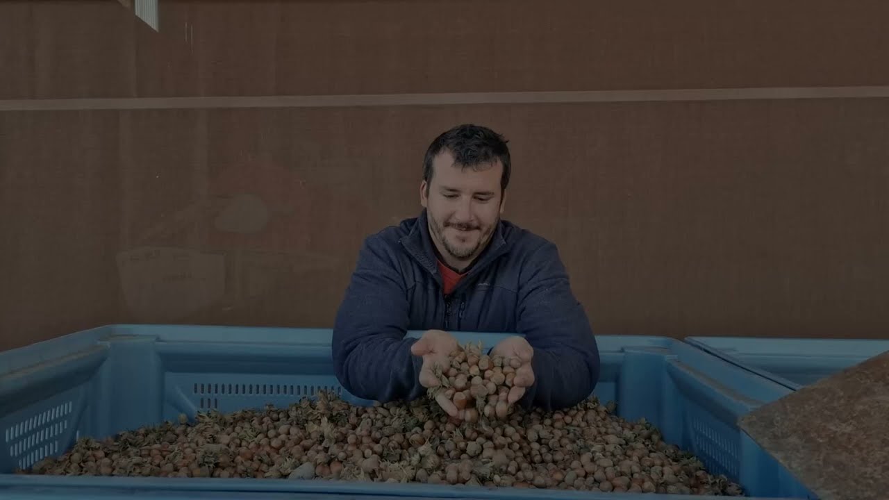 Rencontre avec Julien Bugnon, producteur de noisettes à Cottens (VD)