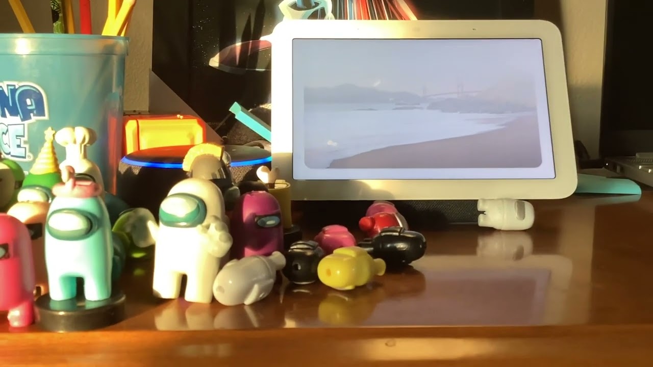 Google nest hub talks to Amazon echo