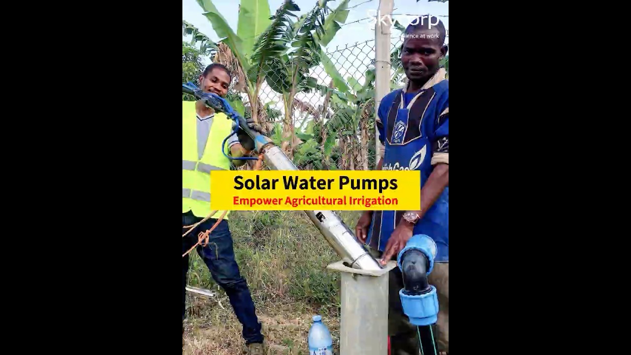 Solar Water Pumps Empower Agricultural Irrigation