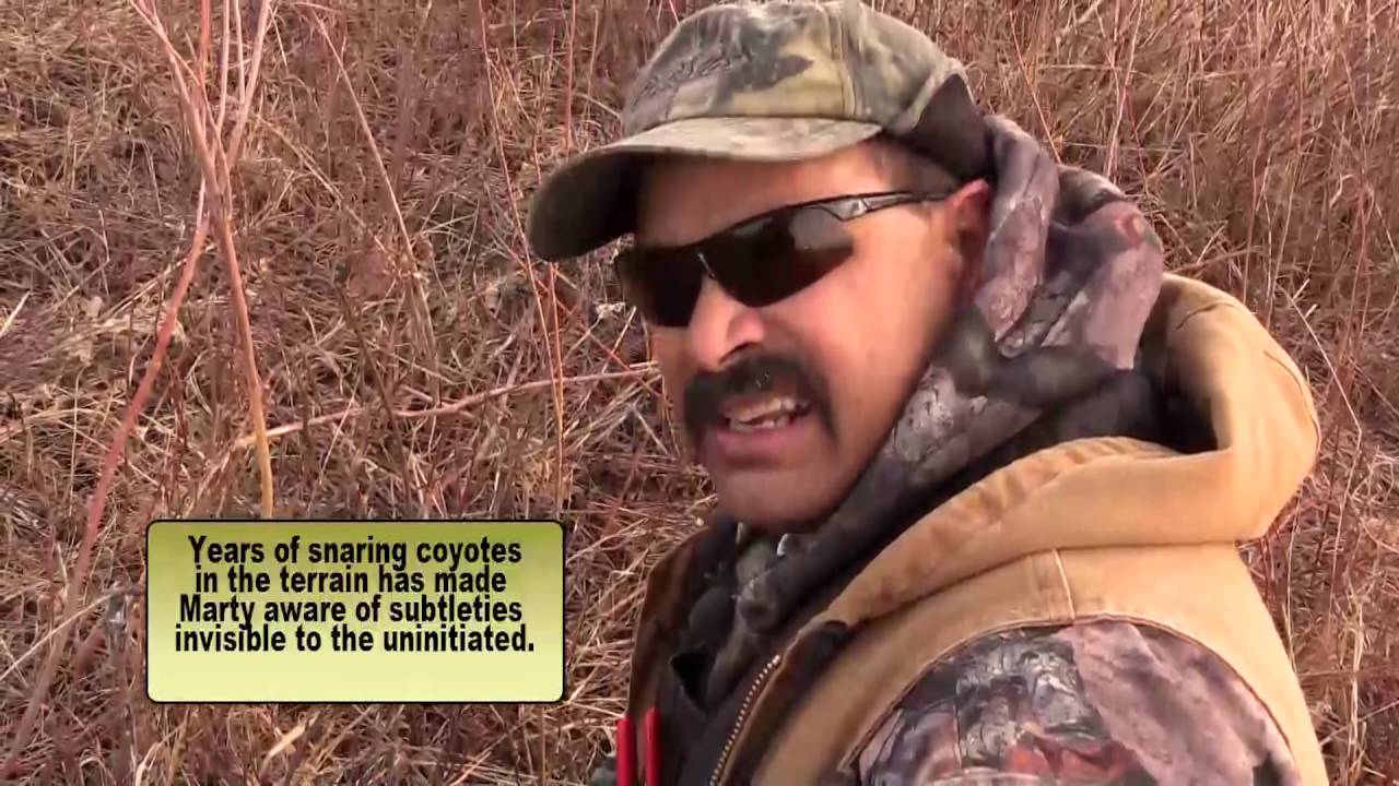 Trapping Inc Ep10 S2 Marty Senneker Coyotes