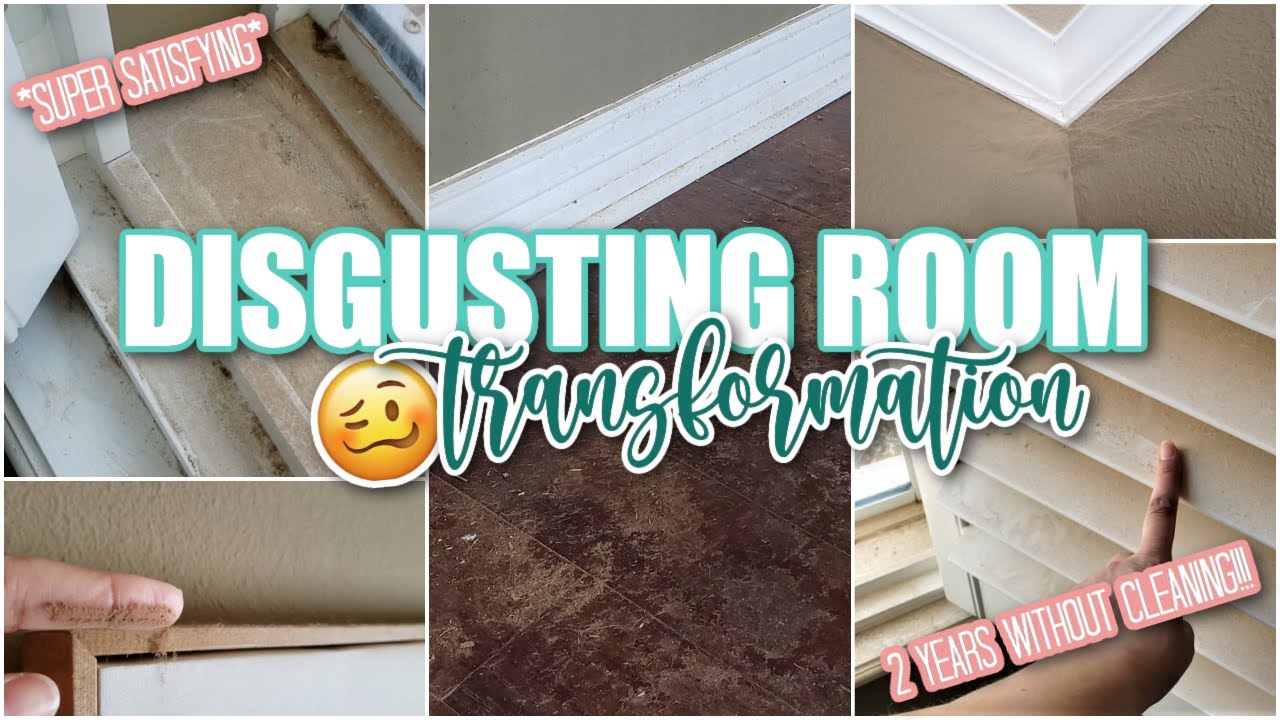 DISGUSTING ROOM TRANSFORMATION | DINING ROOM TO DOGGY DEN | SUPER *SATISFYING* SPRING DEEP CLEAN
