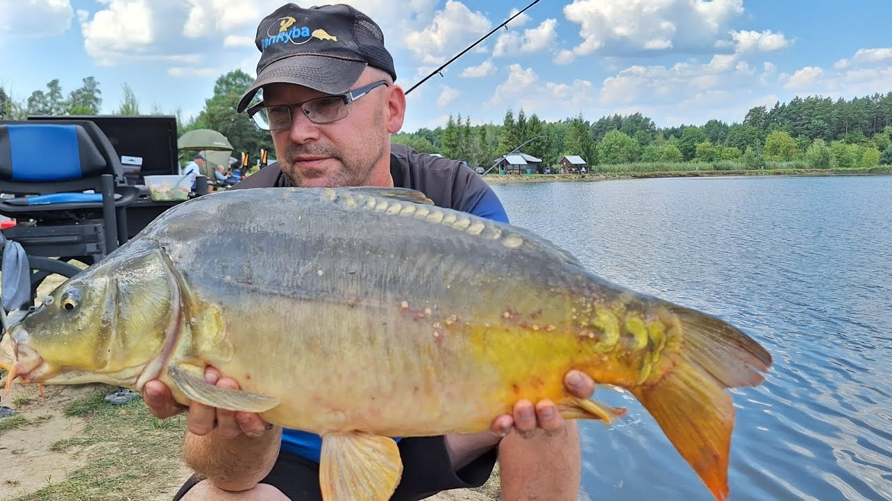 P&oacute;ł tony ryb.
