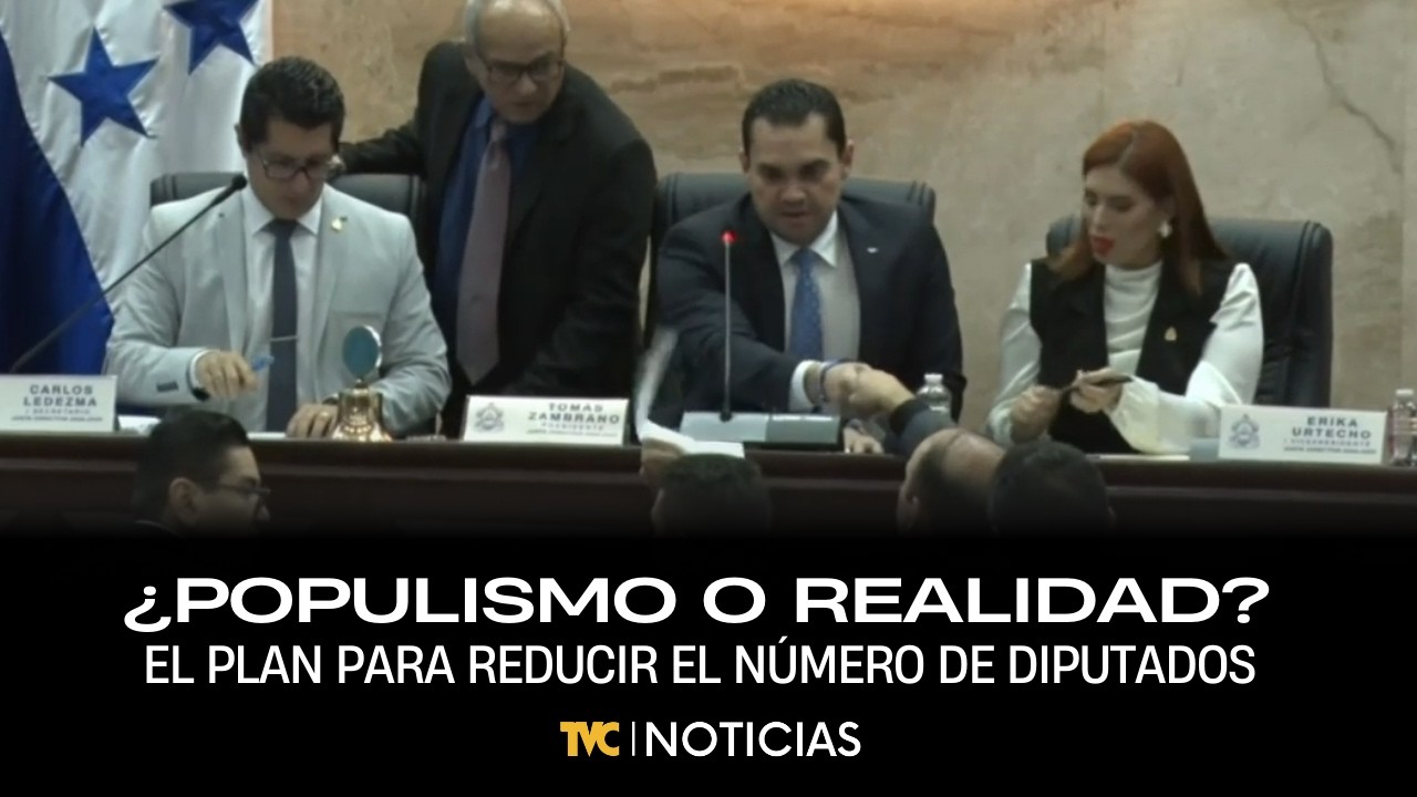 ¿Populismo o realidad? El plan para reducir el número de diputados y cambiar las elecciones