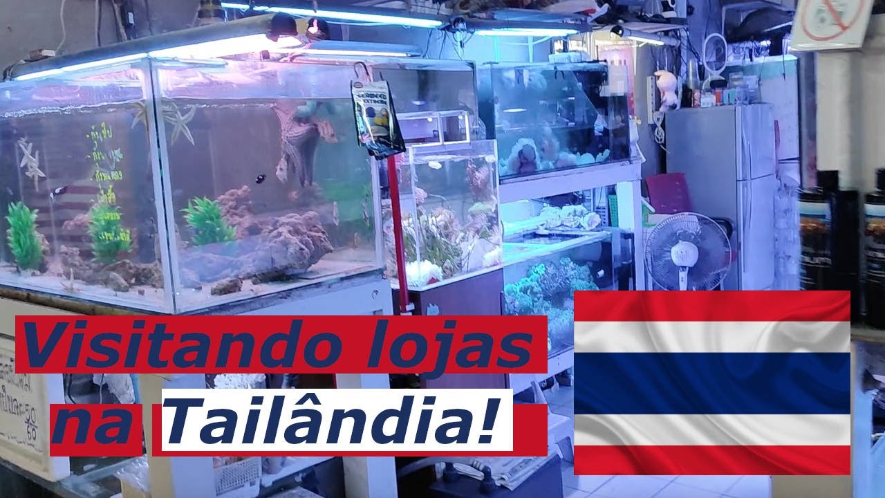 Conhecendo lojas de Aquarismo na Tailândia!