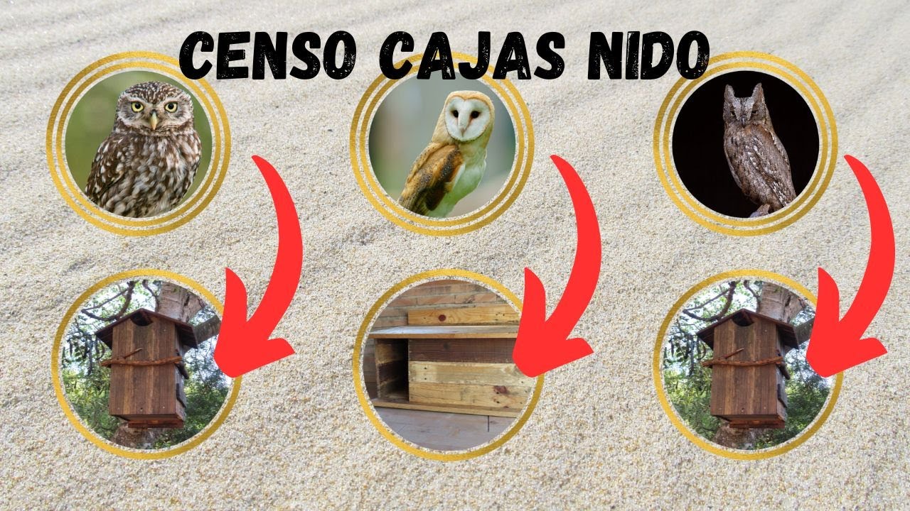 Censo de Cajas Nido