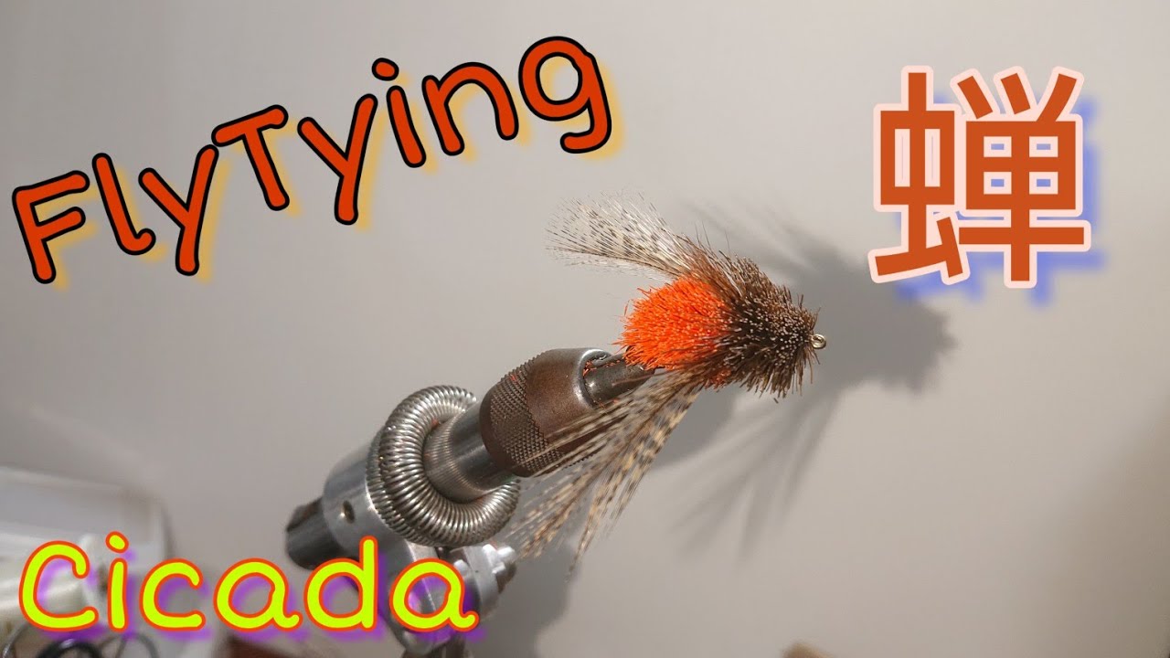 FlyTying:Cicada 夏だー セミだ～/ﾌﾗｲﾀｲｲﾝｸﾞ/ﾄﾞﾗｲﾌﾗｲ