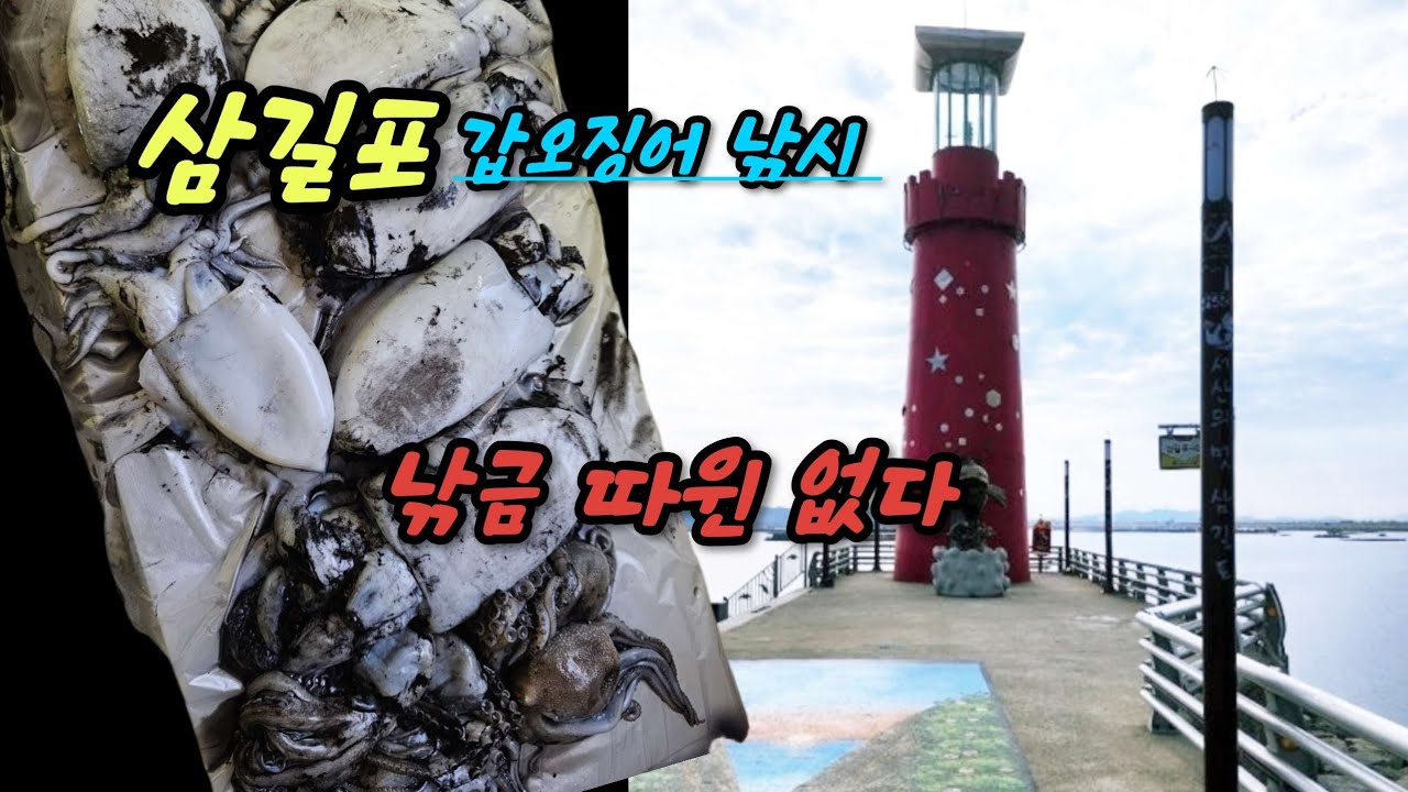 #잡는법 공개 !삼길포 대호방조제#