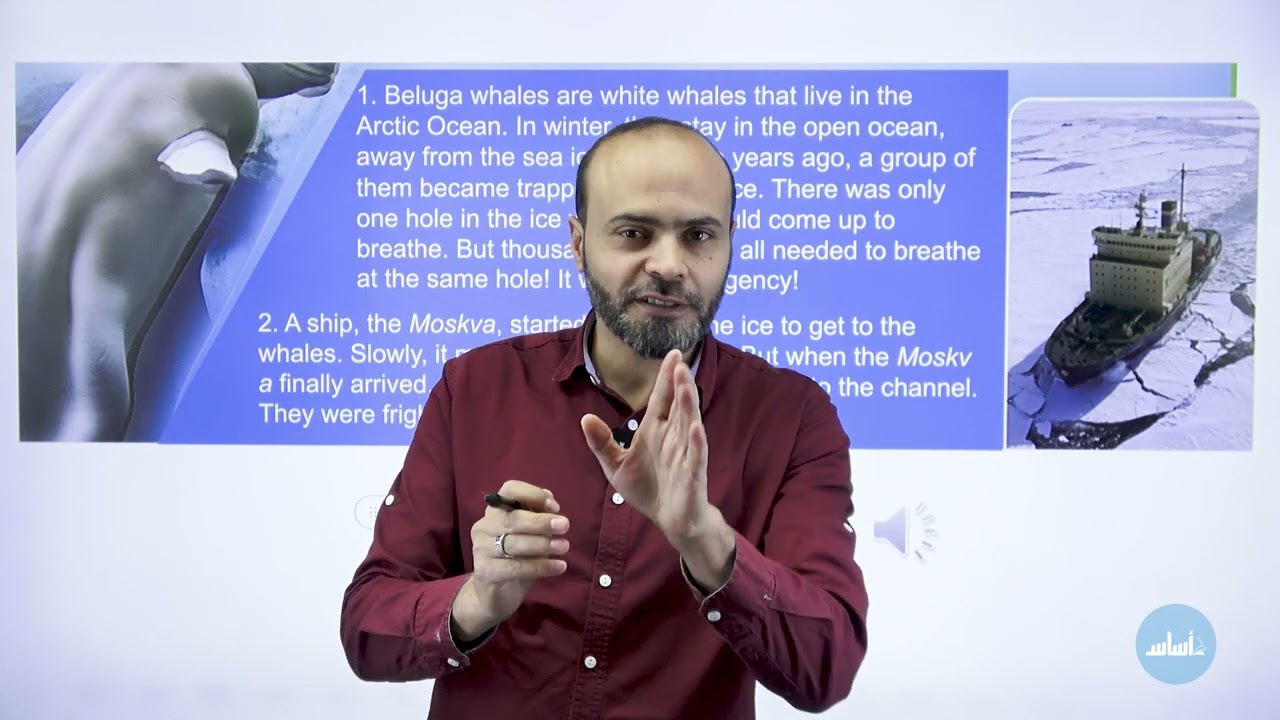 صف خامس The Beluga Whales شرح سفّاح