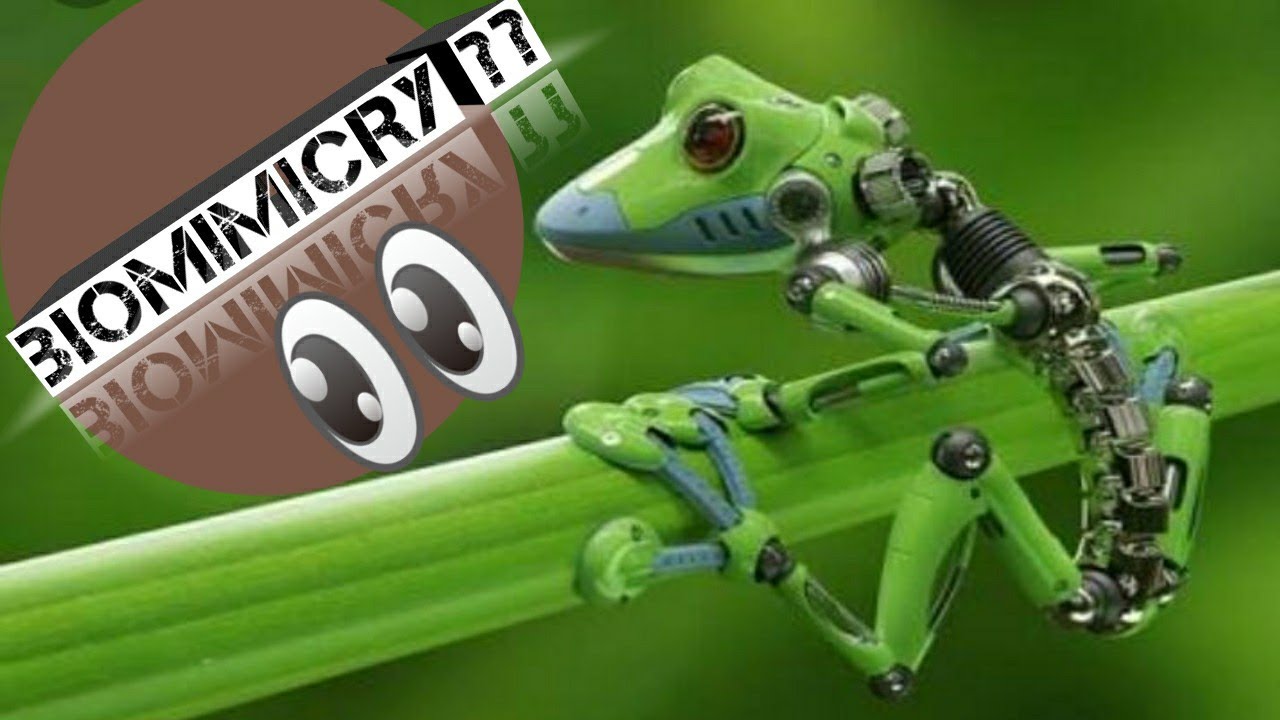 Biomimicry.....The Design Inspired By Nature......Part-1 😍🌍😍