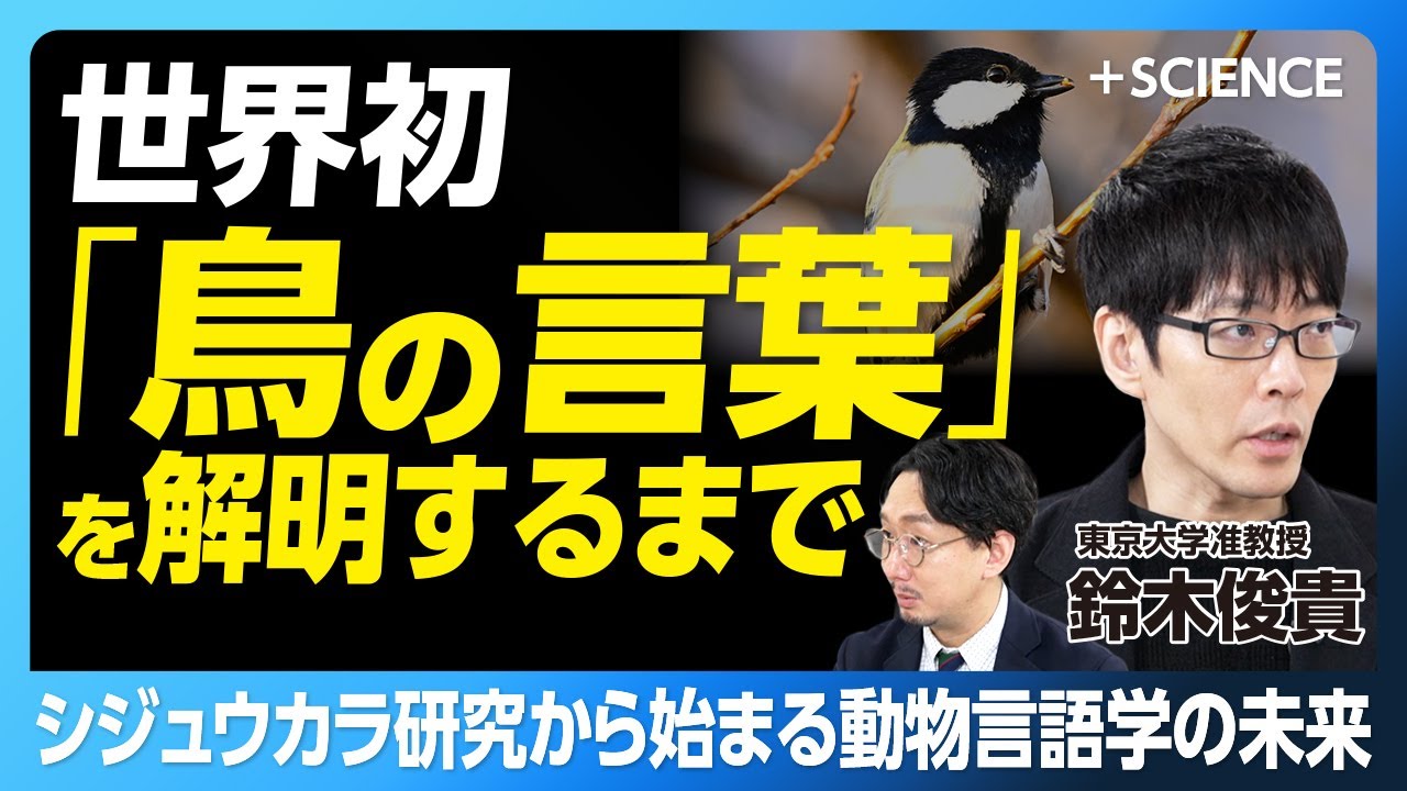 【「鳥にも言葉があった」常識を覆す大発見】20年のフィールドワークがもたらした「気づき」｜鳥の言葉を理解して観察も容易に｜人間が“井の中の蛙”な理由｜新発見は「検索」だけでは生まれない【鈴木俊貴】