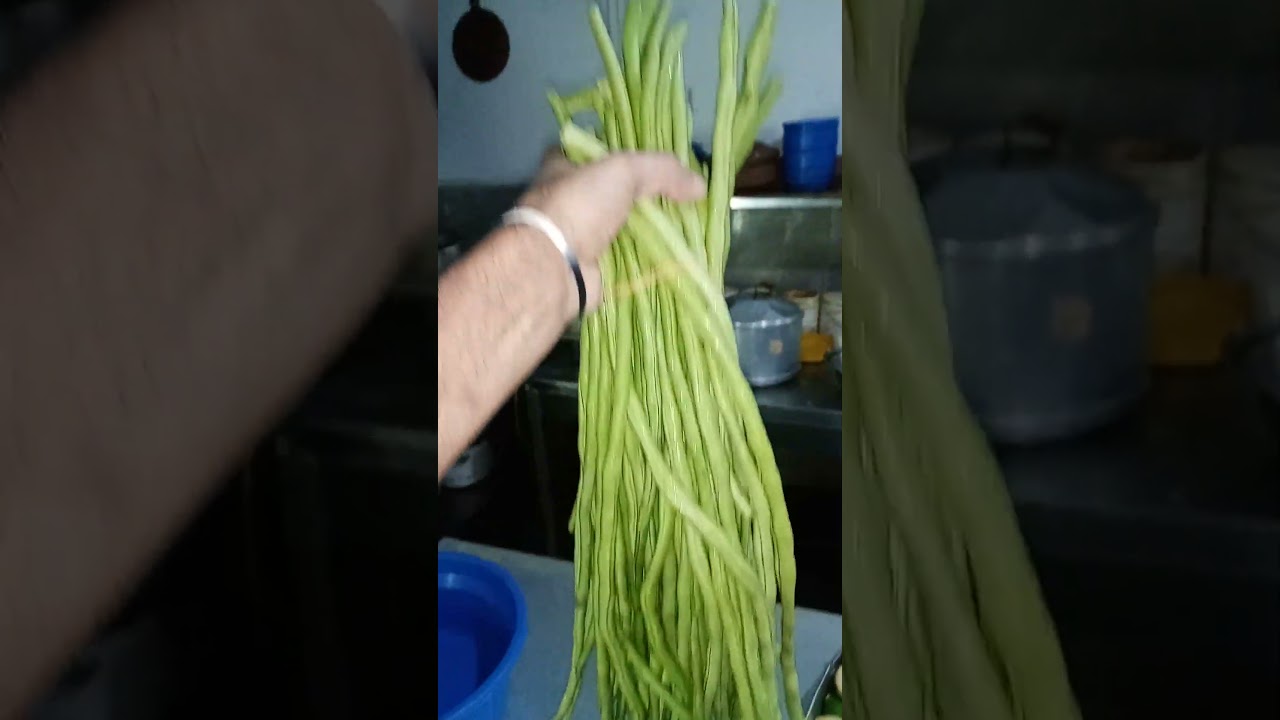 ඔ ඔ ඔ මැ මැ මැ ❤️chef❤️🇱🇰❤️Danu❤️Danu❤️#trending #youtube #yummy #viralreels 👌👌👌👌