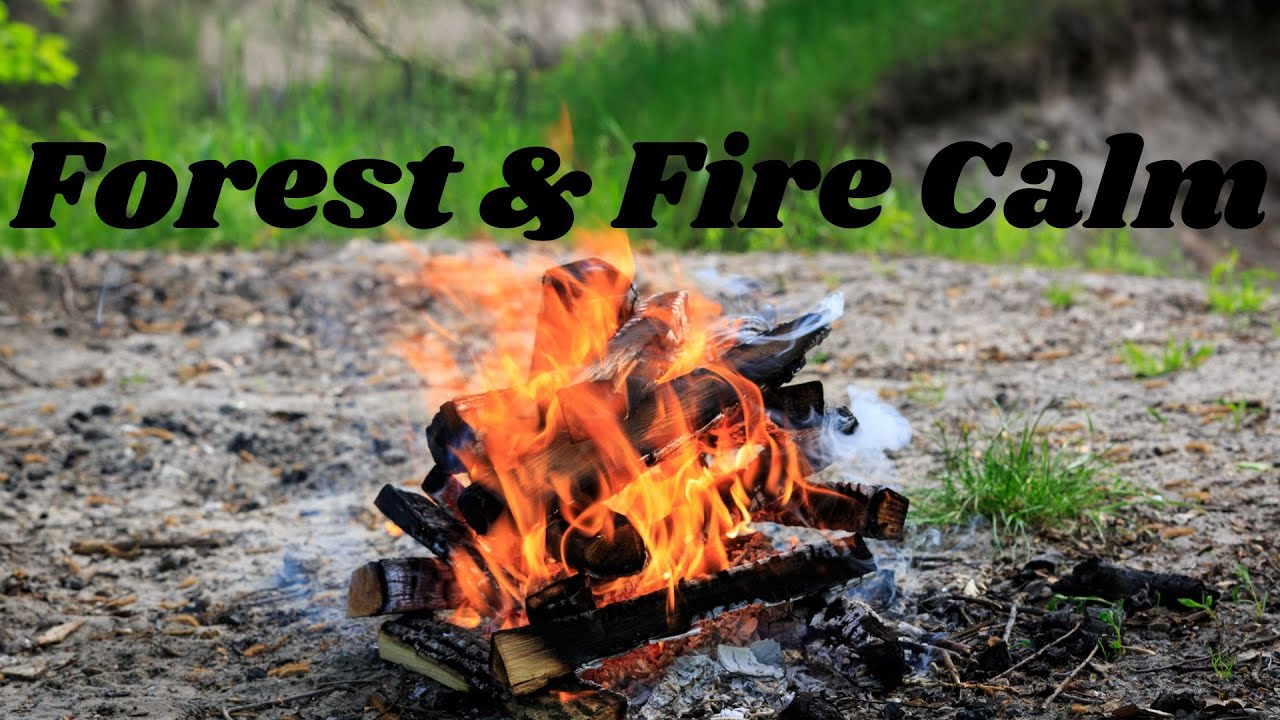Forest & Fire Calm &ndash; 5 Min Campfire Ambience | Whispering Fox Den