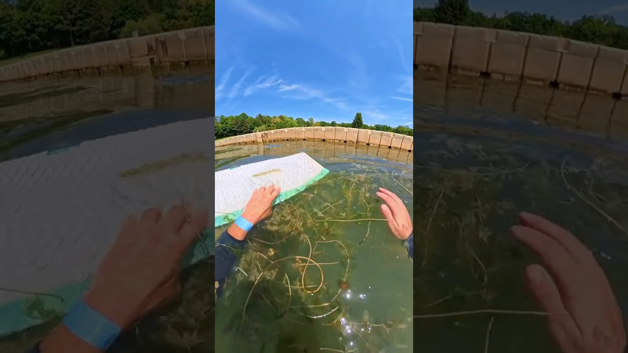 HUMILIT&Eacute; #glisse #wakeboard #wakeskate #ride #rideurs