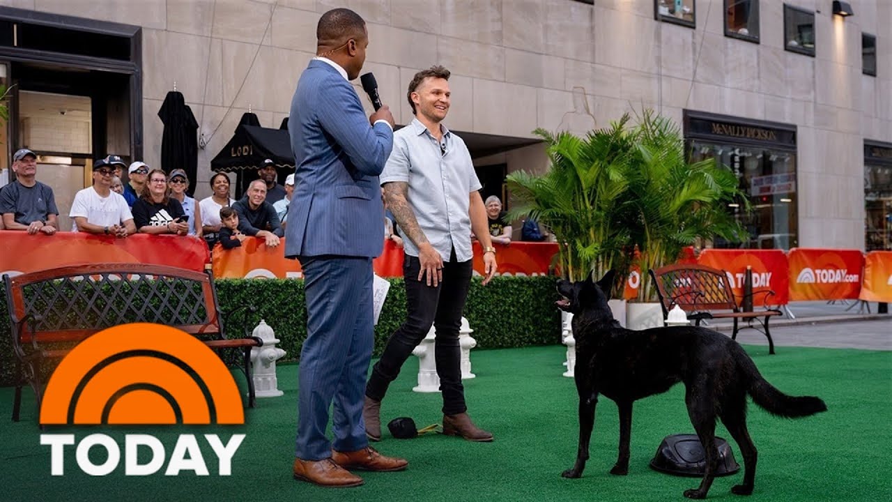 Learn important commands all dogs and owners should know