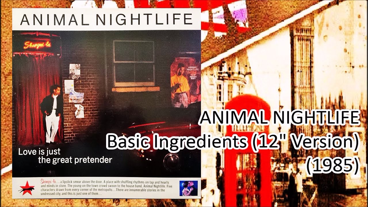 ANIMAL NIGHTLIFE - Basic Ingredients (12