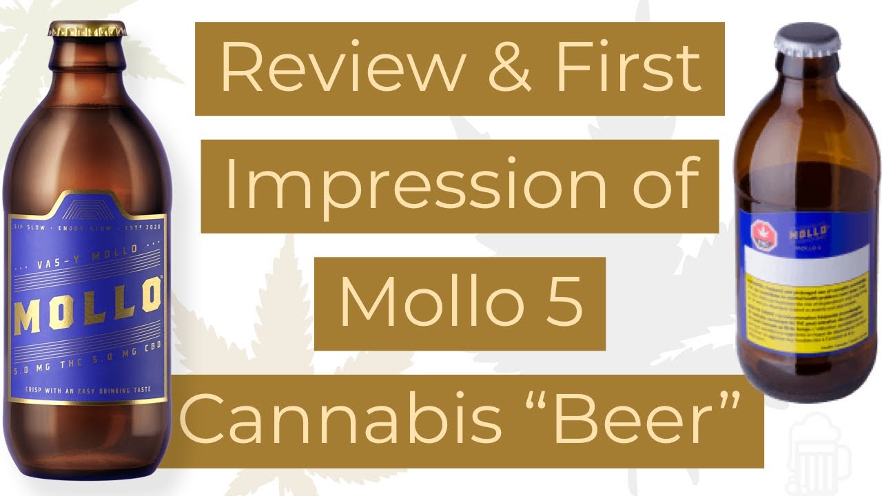 Review & First Impression Of Mollo 5 | Canada's First Cannabis Beer (18+)