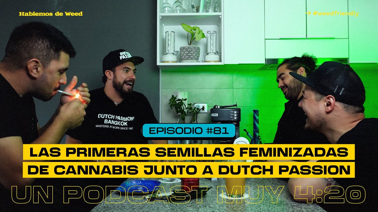 Las primeras semillas feminizadas y los nuevos cultivos legales en Amsterdam de Dutch Passion