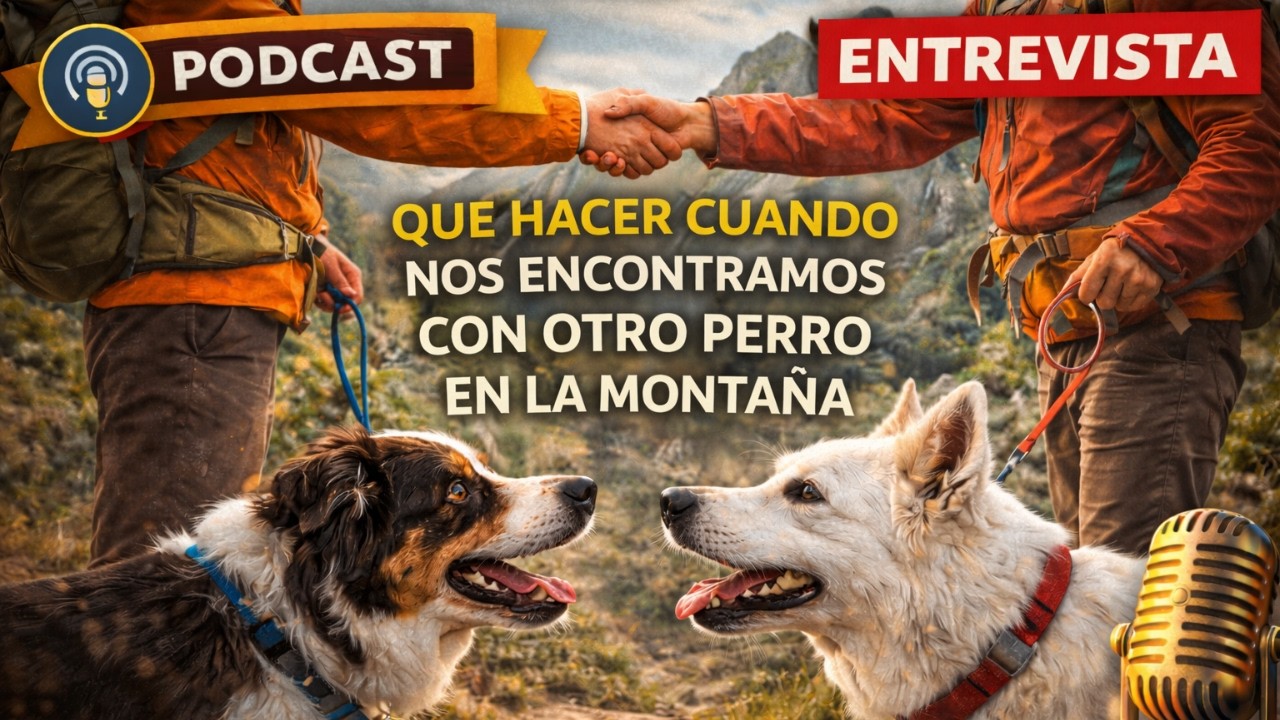 [PODCAST] Entrevista: Qué hacer cuando nos encontramos con otro perro en la montaña