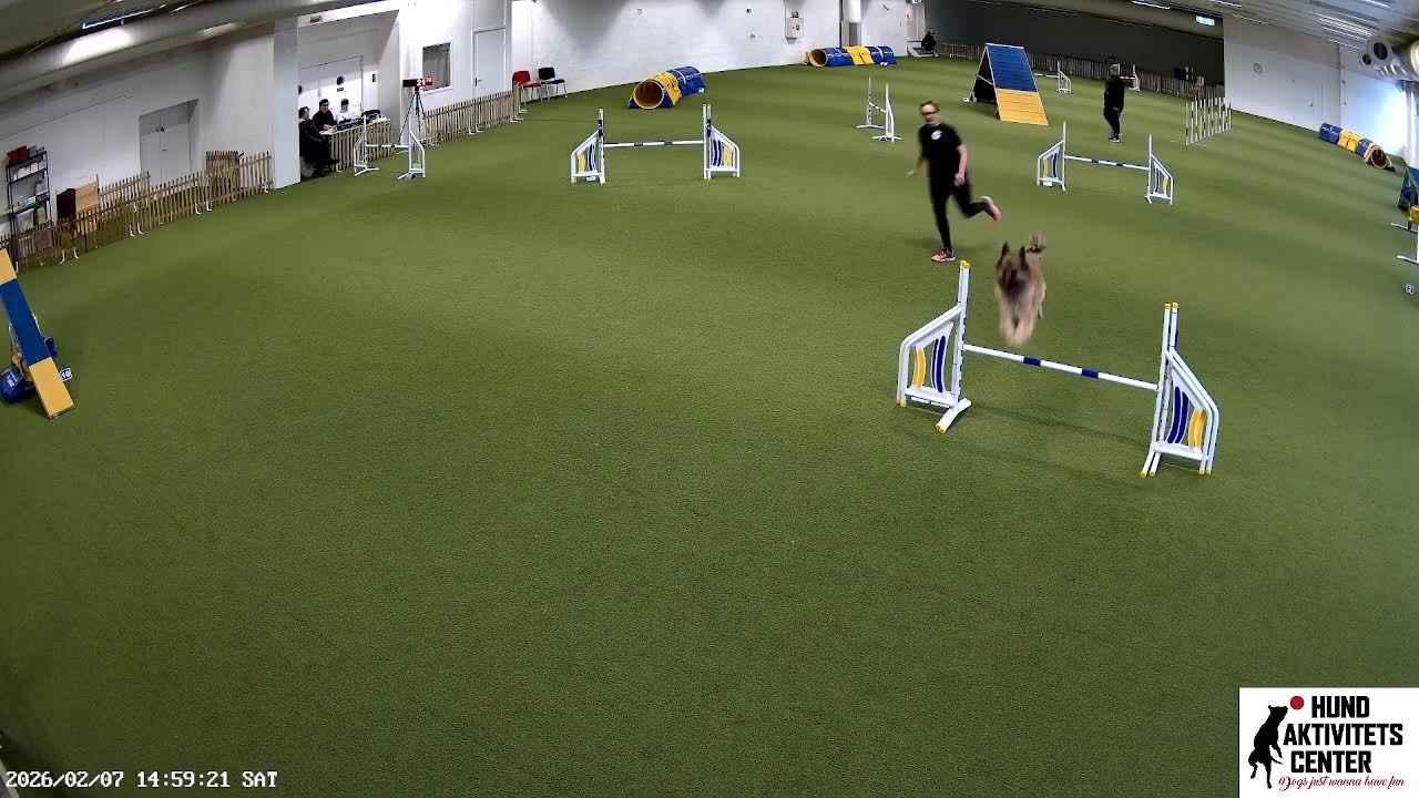 Klass 1 Agility Lördag 7 februari 2026