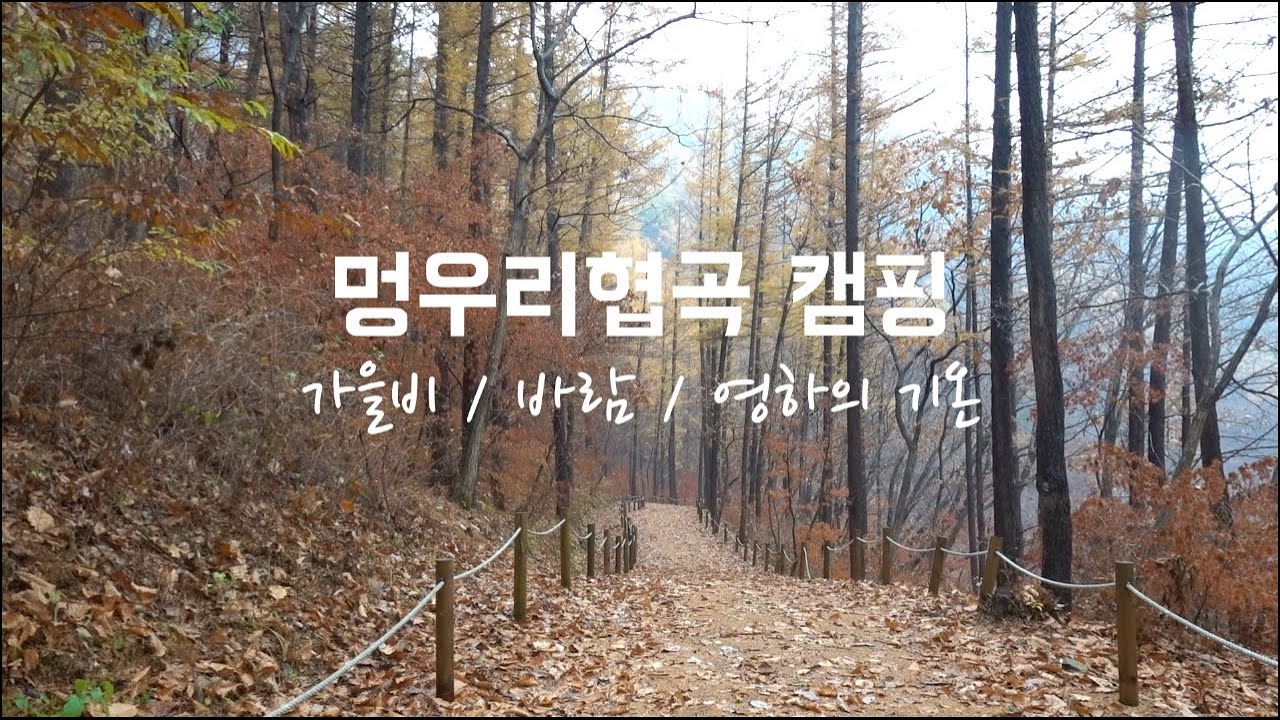 멍우리협곡 가을캠핑(멍우리협곡캠핑장) - 포천 캠핑장, 한탄강 지질공원, 가을비, 단풍