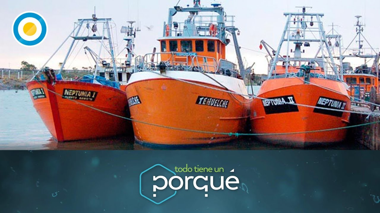 ¿Por qué flotan los barcos? (1 de 3) - Todo tiene un porqué