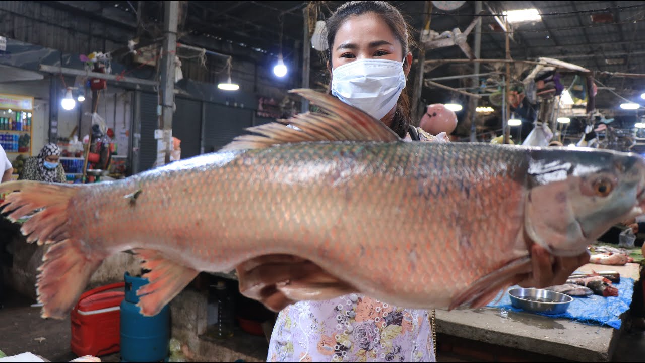 The first time I saw this kind of fish in the market / Giant fish cooking