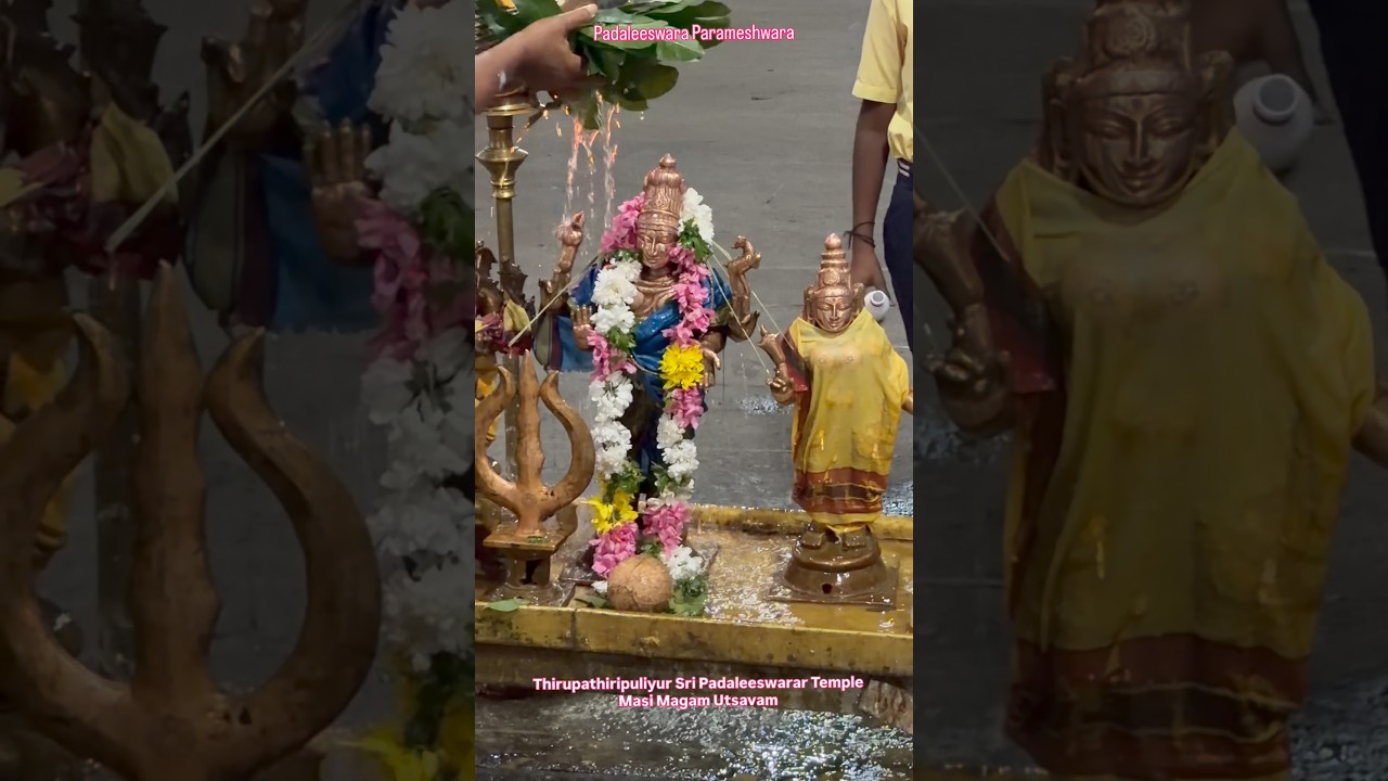 புழுவாய்ப் பிறக்கினும் புண்ணியா உன்னடி என்மனத்தே #மாசிமகம் #padaleeswarartemple
