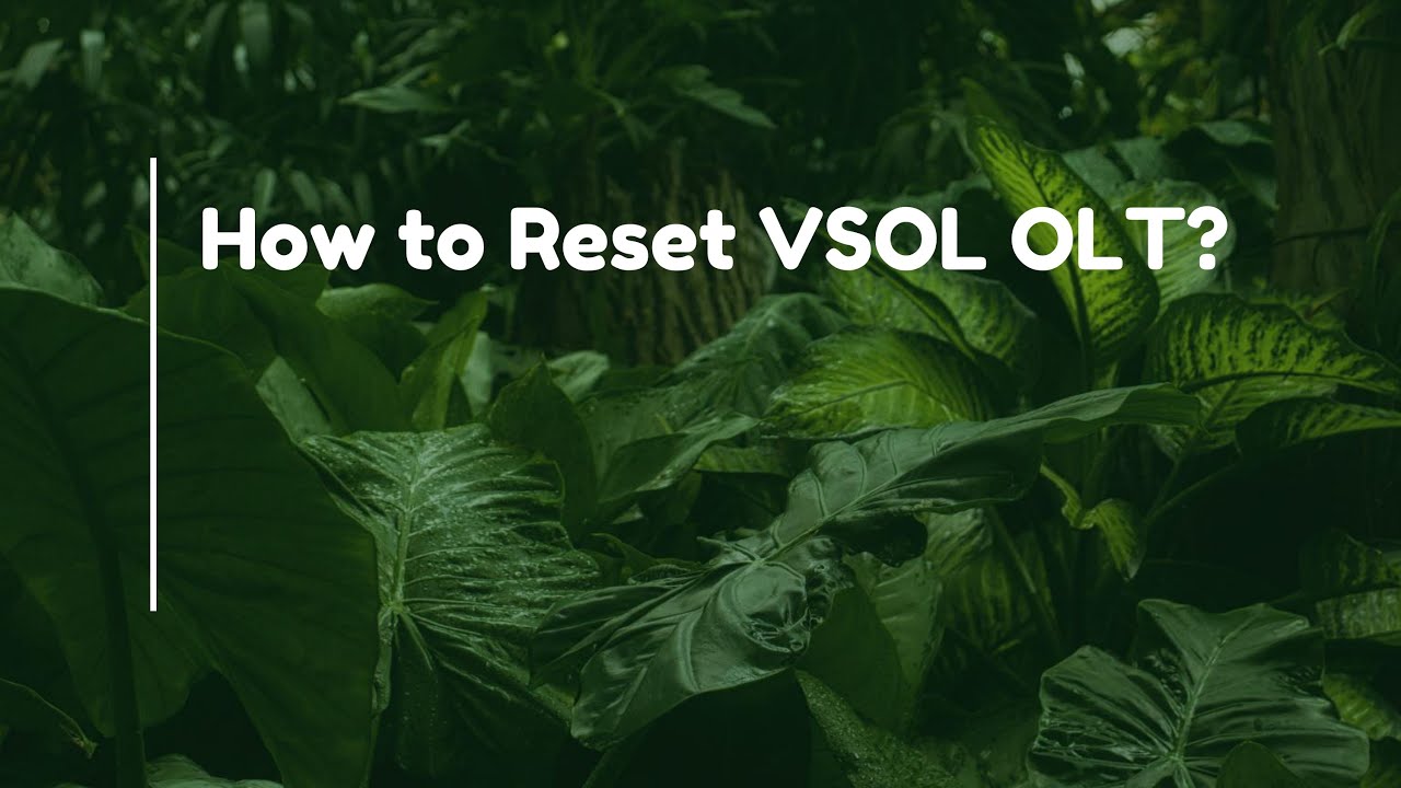 Как сбросить настройки VSOL OLT?