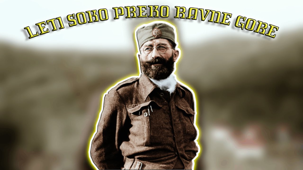 Leti soko preko ravne gore | Falcon flies over Ravna Gora