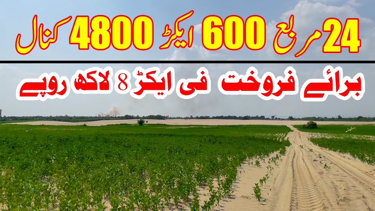 600 Acre Zameen For Sale | 4800 Kanal Land | Land for Sale Pakistan