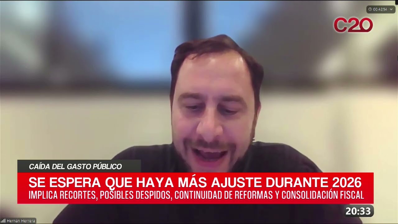C20N - HARNÁN P. HERRERA - CAÍDA DEL GASTO PÚBLICO