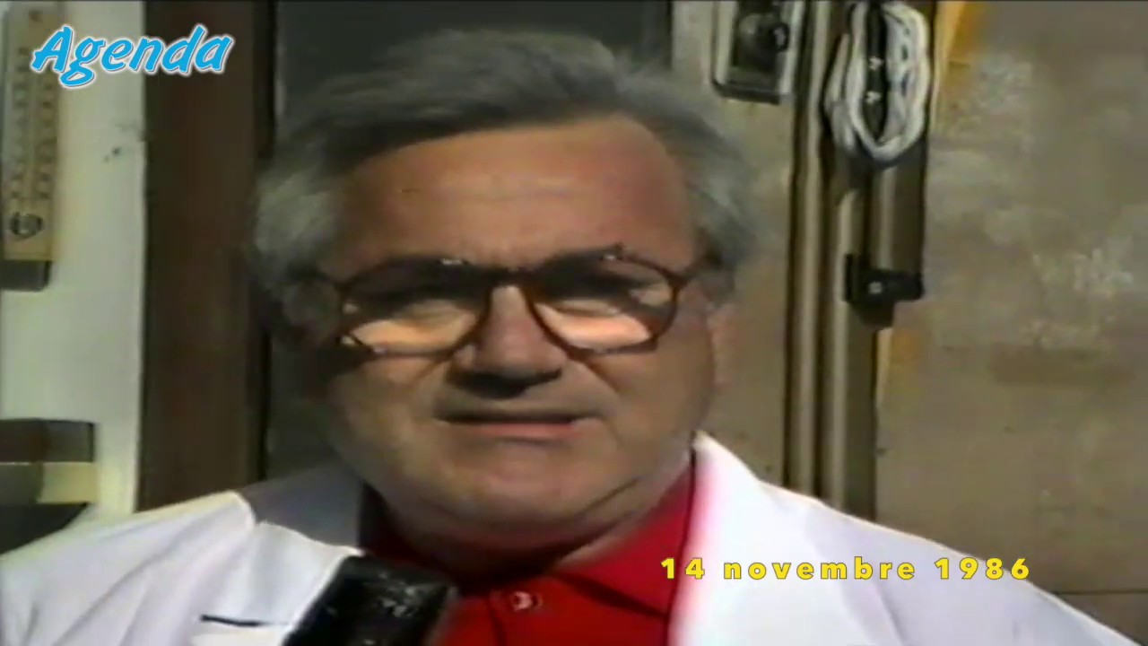 Brindisi: apertura negozi sabato pomeriggio, sondaggio 1986