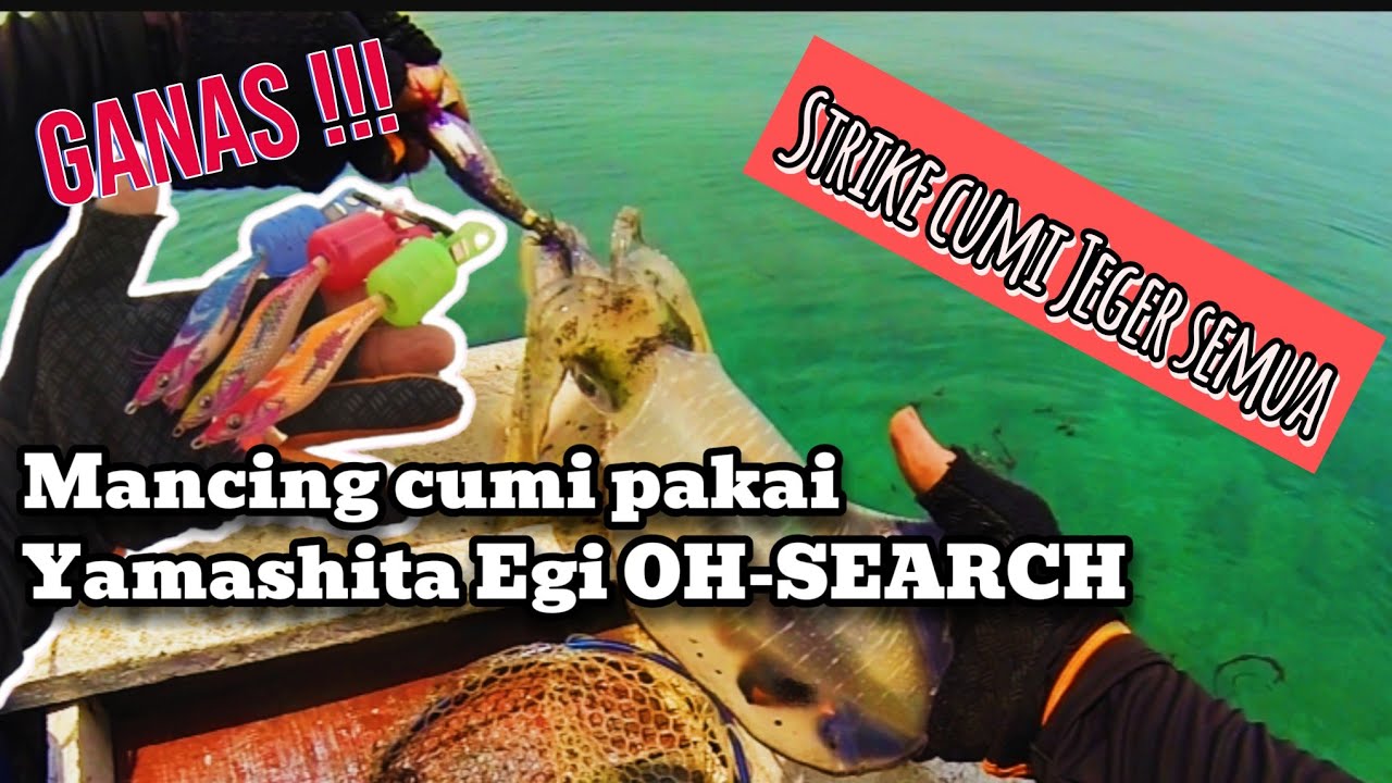 Test Mancing Cumi Pakai Yamashita Egi OH SEARCH