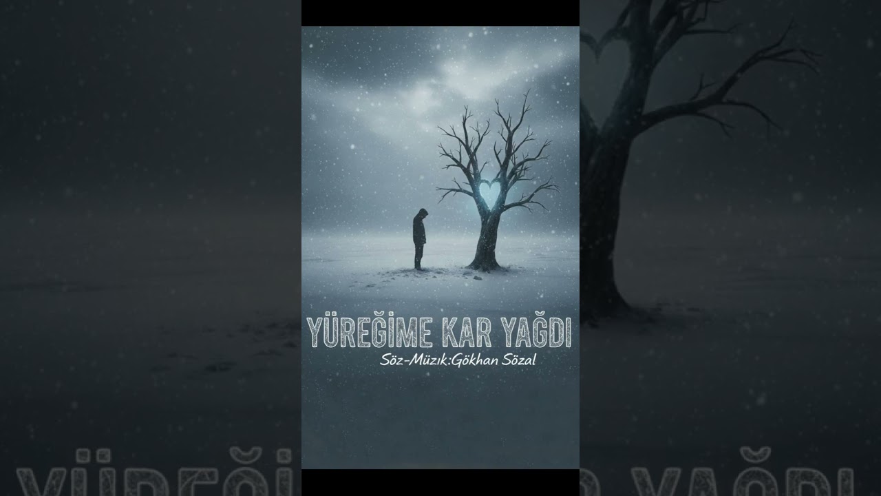 YÜREĞİME KAR YAĞDI-COVER-Gökhan Sözal