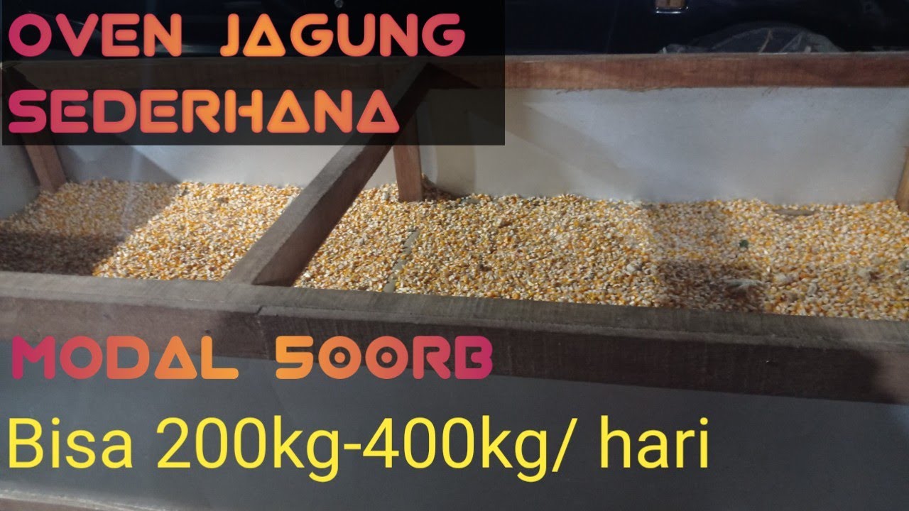 Pengering/oven jagung sederhana modal 500rb, bisa mengeringkan berbagai jenis bahan #pakan