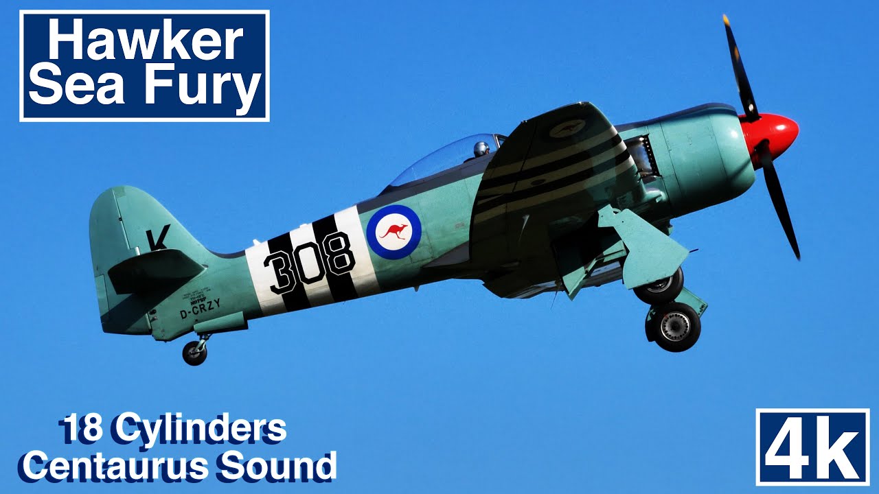 Hawker Sea Fury Aerobatics Fast and Loud Propeller Fighter Aircraft 4K